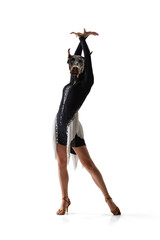 Surreal portrait of young graceful female dancer headed of dog's head dancing ballroom dance...