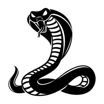 Illustration with angry cobra icon on white background.