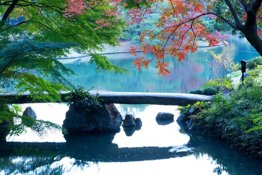 六義園 Images – Browse 1,916 Stock Photos, Vectors, and Video