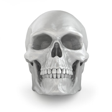 Metallic skull on a white background. 3D rendering