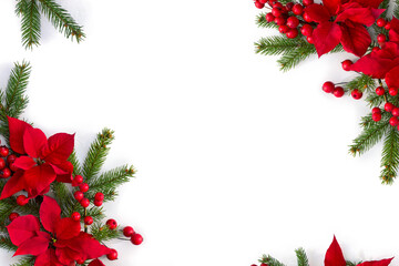 Christmas decoration. Frame of flowers of red poinsettia, branch christmas tree, red berries on...