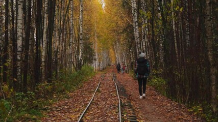 A lonely woman walks along a narrow-gauge railway in the woods - Powered by Adobe