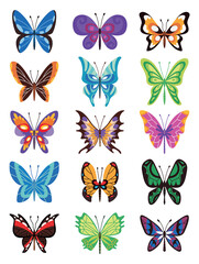Collection of color butterfly. Hand drawn moth wings or insects. Tropical animals. Isolated  icons set