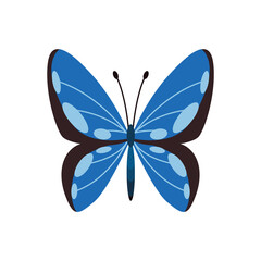Exotic color butterfly. Hand drawn moth wings or insect. Cartoon tropical animal. Isolated  icon