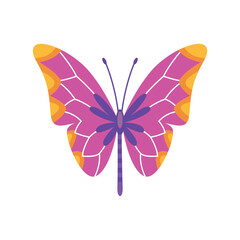 Exotic color butterfly. Hand drawn moth wings or insect. Cartoon tropical animal. Isolated  icon