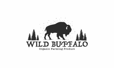 Wild Buffalo vintage Logo Design. Bison Bull Buffalo Angus Silhouette Vintage Retro Logo, Buffalo Breeders Vector Illustration. - obrazy, fototapety, plakaty