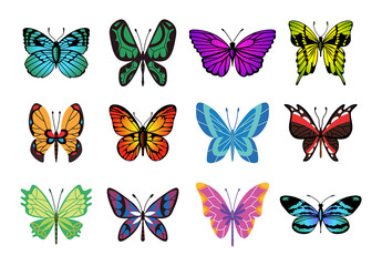 Obraz na płótnie Canvas Collection of color butterfly. Hand drawn moth wings or insects. Tropical animals. Isolated icons set