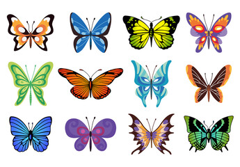 Naklejka na ściany i meble Collection of color butterfly. Hand drawn moth wings or insects. Tropical animals. Isolated icons set