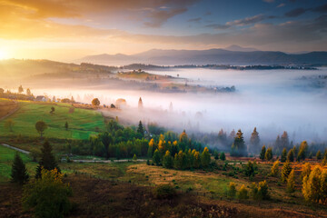 The valley is covered with fog in the summer morning. Carpathian mountains, Ukraine, Europe.