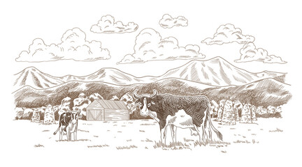 Cows grazing on meadow. Hand drawn farm land with barn  illustration. Rural landscape, village vintage sketch