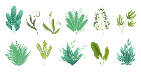 Greenery branches. Green realistic spring grasss. Leafs of exotic plant Collection of tropical abstract isolated symbols. Different patterns of natural lawn meadow bushes