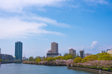 Fototapeta premium 都市景観