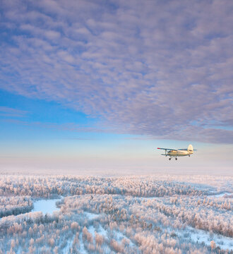 Biplane flying above winter forest covered white hoar frost, air photography