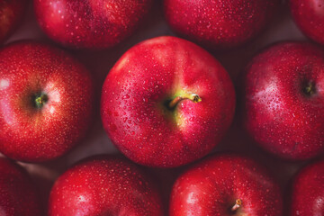 Top view of the beautiful red large ripe wet apples collected in the garden. A rich harvest of delicious fruits. Healthy proper nutrition. Diet and vegetarianism.