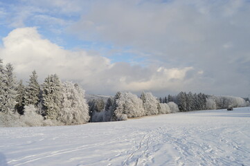 Fototapeta na wymiar Schneebedeckte Winterlandschaft.