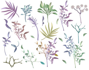 Set of Tree branches with colorful leaves on white background. Decoration Foliage, Botanical collection. Vector icons for your design.