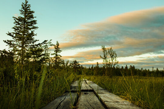 Midnight Sun In Swedish Lapland