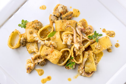 Dish of calamarata pasta with squid and clams