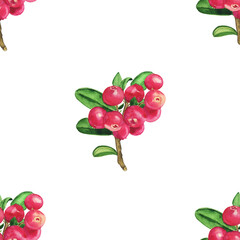 Lingonberry or cowberry seamless pattern on white background. Watercolor hand drawing illustration. Red berry with green leaves.
