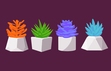 A set of several succulents of different colors in concrete pots. Home flowers from the genus cactus