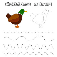 Tracing lines game with funny duck. Worksheet for preschool kids, kids activity sheet, printable worksheet
