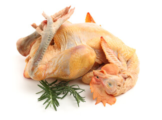 Raw fresh chicken isolated on white background  © zcy