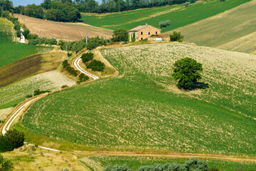 Rural landscape near Ostra Vetere and Cingoli, Marche, Italy