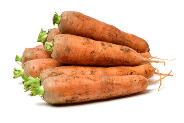 fresh carrot on white background 