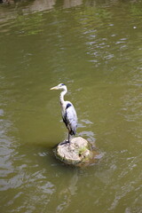 大宰府　福岡　日本