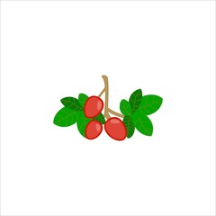 Cherry pieces with half cherry and pits