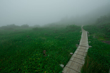 山登りの風景