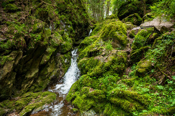 Naklejka na ściany i meble Kleiner Wasserfall im Wald - Lotenbachklamm, Schwarzwald, Baden-Wuerttemberg