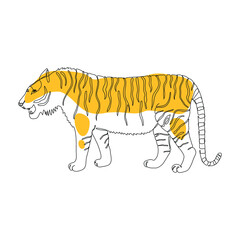 One single continuous line drawing of a tiger isolated on white background. Hand-drawn design vector illustration. New year`s 2022 symbol. Black and orange
