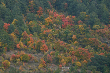 Monte Pellechia in the autumn, Monti Lucretili Natural Regional Park in Italy