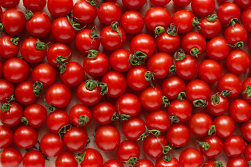 赤い果物プチトマトの集合
