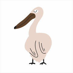 Vector illustration of a bird.pelican for design
