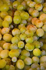 plums close up