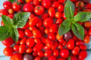 variety of miniature tomatoes on turquoise wooden surface