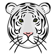 ホワイトタイガーの顔　白い虎　フラットイラスト