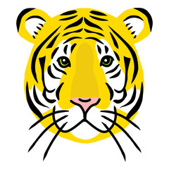 虎の顔　リアルイラスト　正面 　フラットイラスト