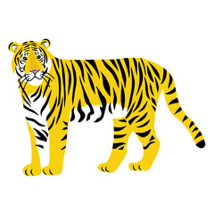 虎の全身　リアルイラスト　正面 　フラットイラスト