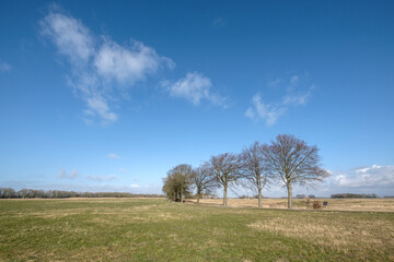 Schokland is naast museum ook natuurgebied
