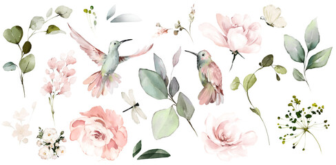 Fototapeta Botanic watercolor set with flowers and birds, leaves eucalyptus. Pink roses, butterfly and Hummingbird obraz
