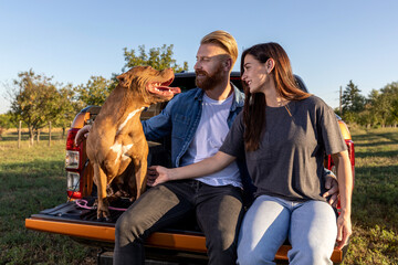 Couple bonding while sitting on the back of a pickup truck under the watchful eye of their canine friend - obrazy, fototapety, plakaty