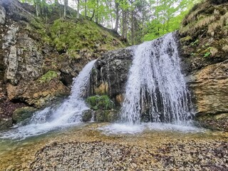 Fototapeta premium waterfall in the forest
