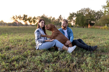 Naklejka na ściany i meble Young man and a young woman in love spending time together with their American bully dog and enjoying themselves in countryside