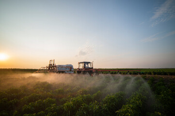 Tractor spraying pesticides on vegetable field with sprayer