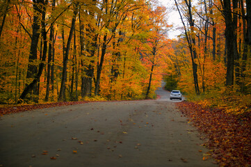 Winding road curves through scenic autumn foliage trees in Algonquin Provincial park in Ontario,...