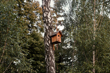 An empty handmade birdhouse on a tree in park. The birds flew away. 