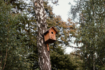 An empty handmade birdhouse on a tree in park. The birds flew away. 